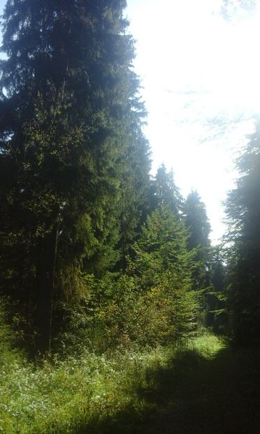 IMG-20180924-WA0046 - Un weekend la munte REZERVAȚIA NATURALĂ APUSENI 2018