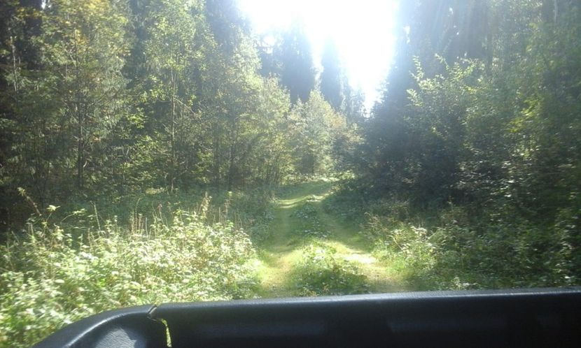 IMG-20180924-WA0045 - Un weekend la munte REZERVAȚIA NATURALĂ APUSENI 2018