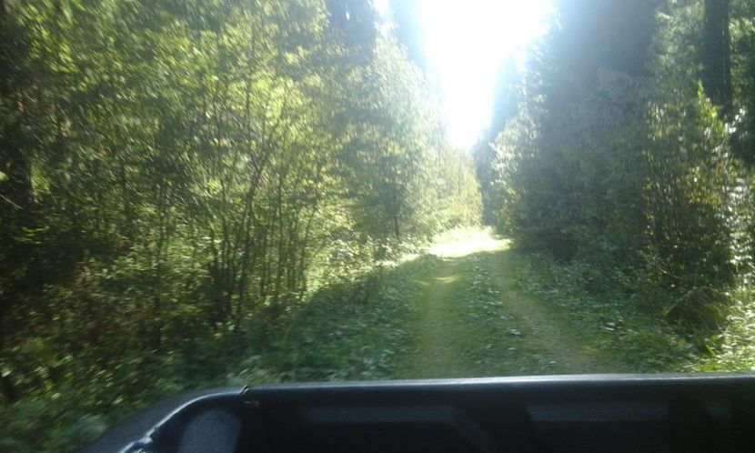 IMG-20180924-WA0043 - Un weekend la munte REZERVAȚIA NATURALĂ APUSENI 2018