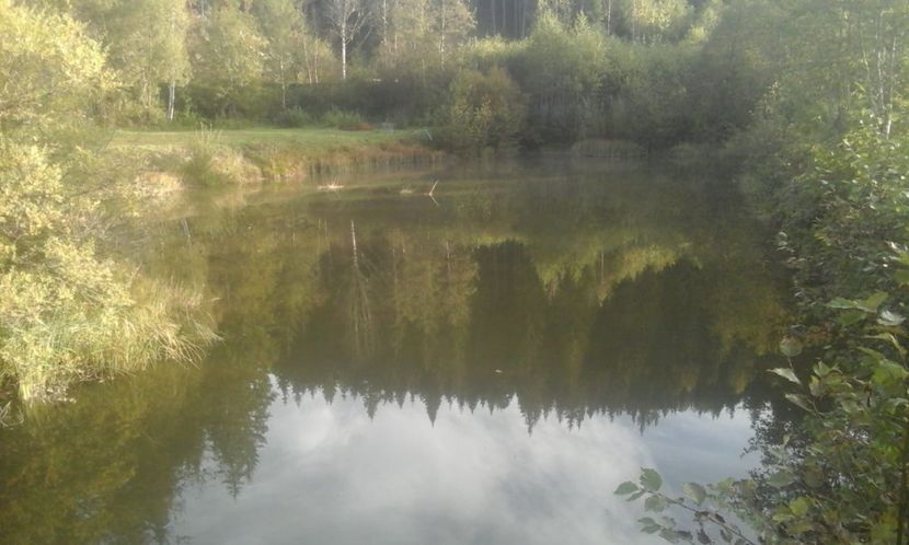 Balta de pescuit a pensiuni - Un weekend la munte REZERVAȚIA NATURALĂ APUSENI 2018