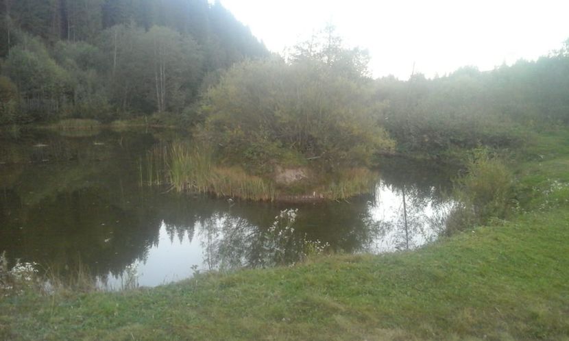 IMG-20180924-WA0022 - Un weekend la munte REZERVAȚIA NATURALĂ APUSENI 2018