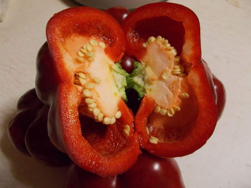  - SEMINTE ARDEI - A 14 GOGOSAR