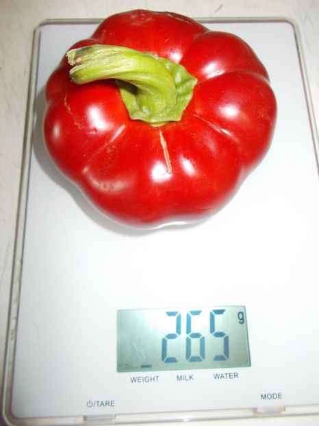  - SEMINTE ARDEI - A 18 GOGOSAR TUDU