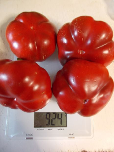  - SEMINTE ARDEI - A 18 GOGOSAR TUDU