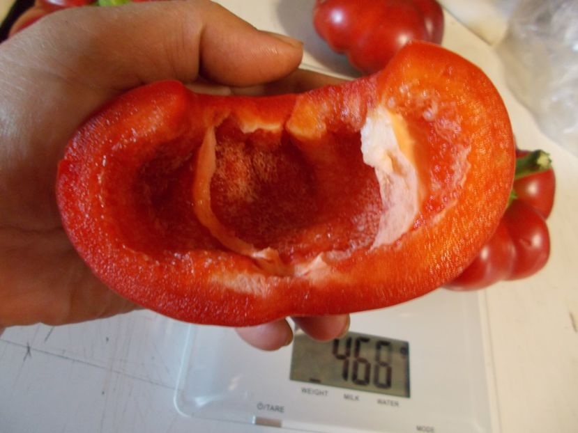  - SEMINTE ARDEI - A 18 GOGOSAR TUDU