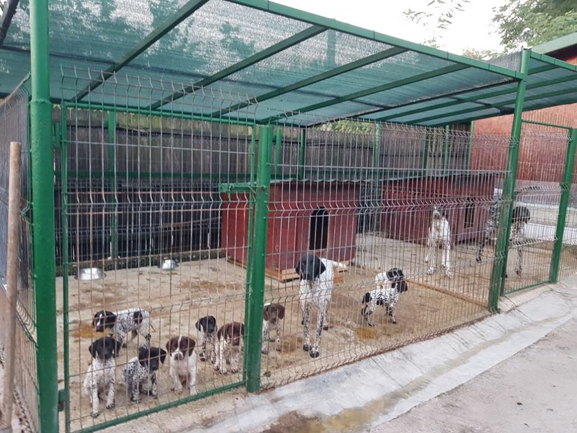  - BRAC GERMAN-DE VANZARE 2018