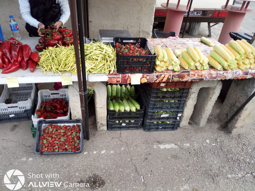 IMG-20180926-WA0008 - Recoltă GDL