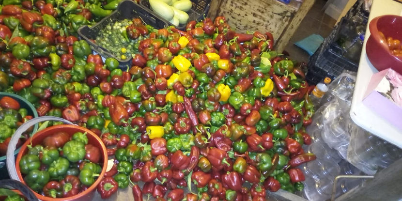 IMG-20180926-WA0001 - Recoltă GDL