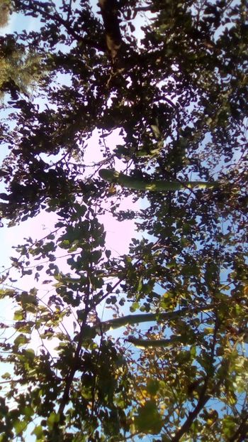 IMG-20180922-WA0030 - Toamna la tara