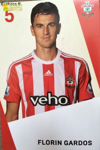 Florin Gardos - Southampton 14-15 - Anglia