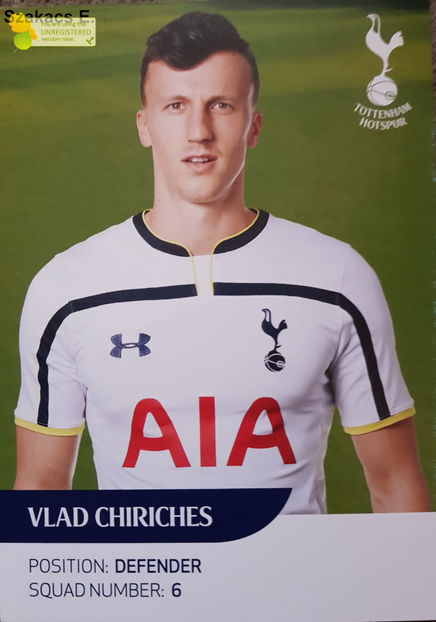 Vlad Chiriches - Tottenham 14-15 - Anglia