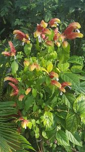  - iunie-iulie-august