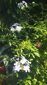  - iunie-iulie-august