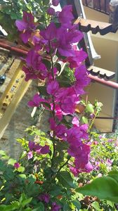  - iunie-iulie-august