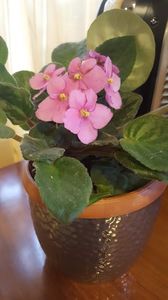  - iunie-iulie-august