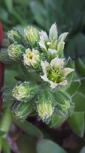  - iunie-iulie-august