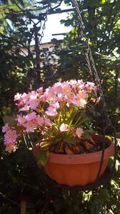  - iunie-iulie-august