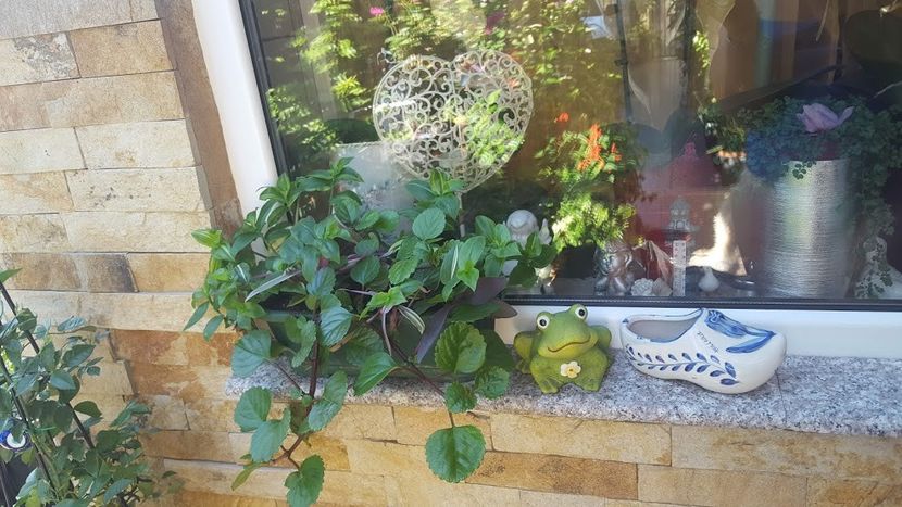  - iunie-iulie-august