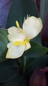  - iunie-iulie-august