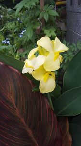  - iunie-iulie-august