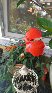  - iunie-iulie-august