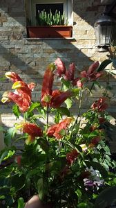  - iunie-iulie-august