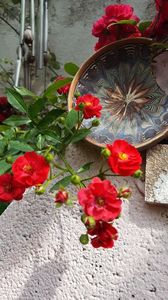  - iunie-iulie-august