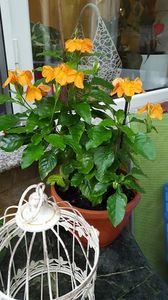  - iunie-iulie-august