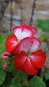  - iunie-iulie-august