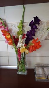  - iunie-iulie-august