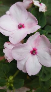  - iunie-iulie-august