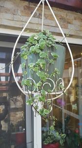  - iunie-iulie-august