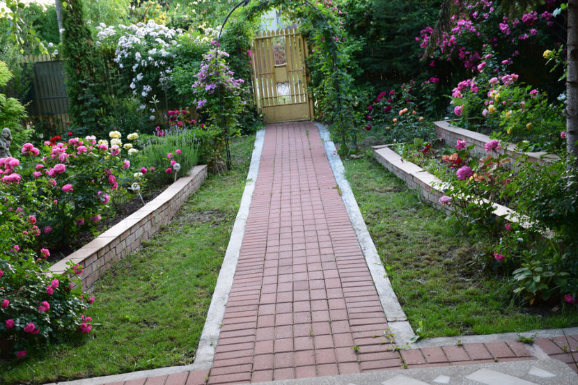 2018 fara arcada Giardinelor - Z_FAVORITELE gradinii mele