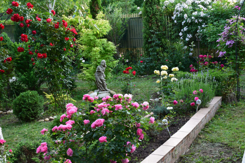 2018 Micuta Nimpha a gradinii - Z_FAVORITELE gradinii mele