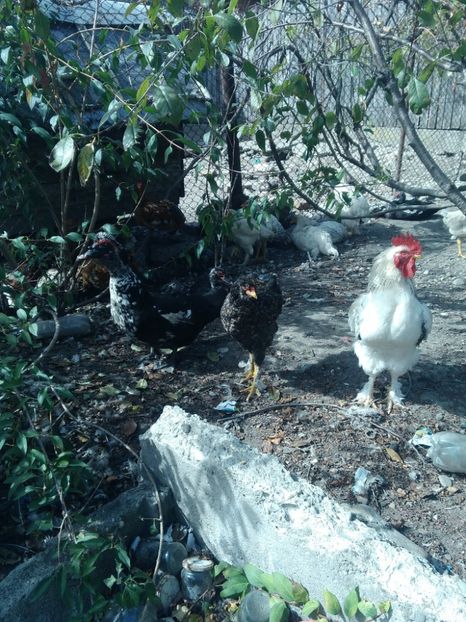 P_20180927_125322 - Rate lesesti