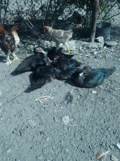 P_20180927_125139 - Rate lesesti