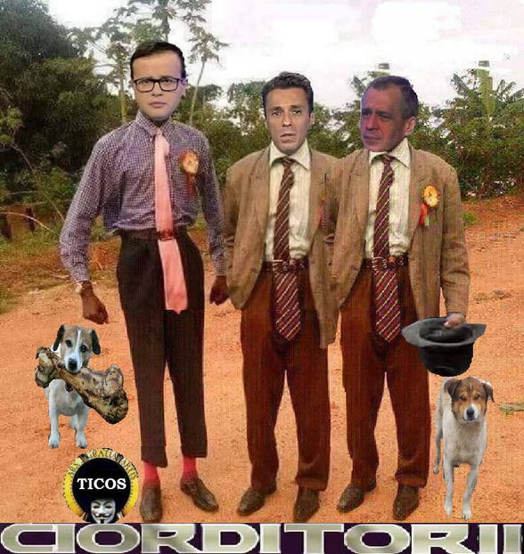  - Poze haioase pamflet