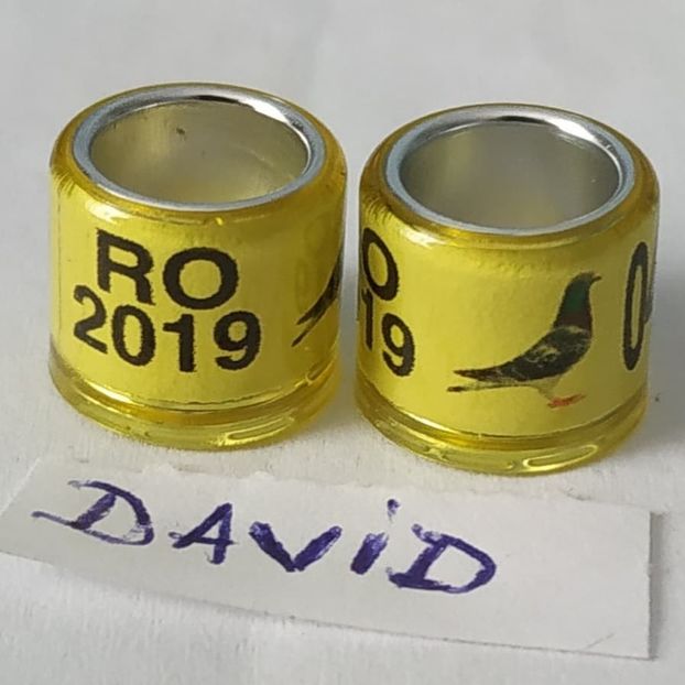 2019-galb.porumbel 8mm....-1 leu - Inele porumbei 2019 de vanzare