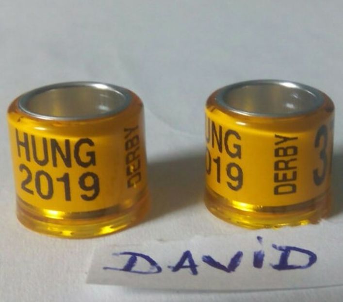 2019 HUNG- 8mm....-1,5 leu - Inele porumbei 2019 de vanzare