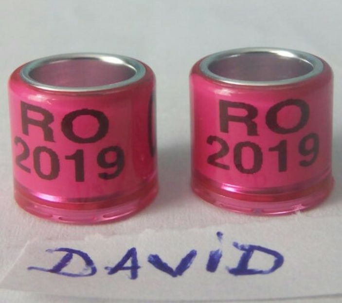 2019-roz 8mm....-1 leu - Inele porumbei 2019 de vanzare