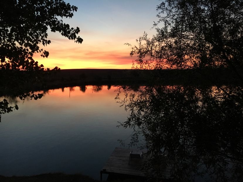 BFADE6FE-6A4C-41C1-B189-02E0C933C6B8 - Apus  de soare