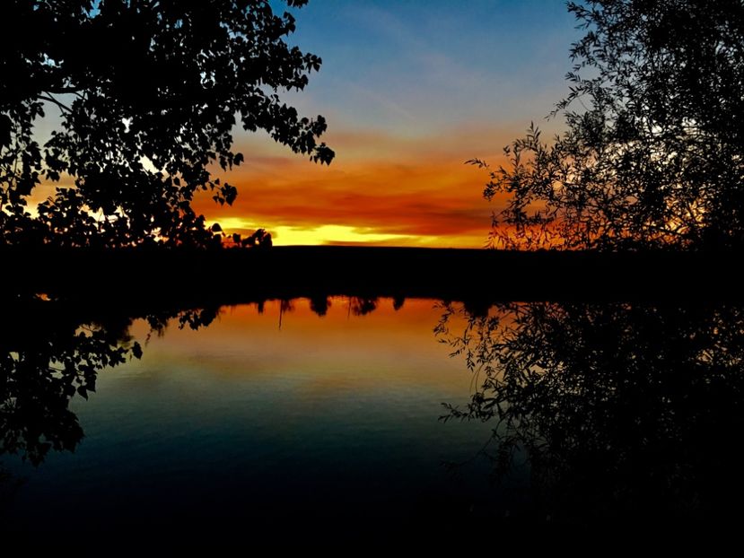 2FD8E29F-83B2-410E-8A16-5989D8A3D9E1 - Apus  de soare