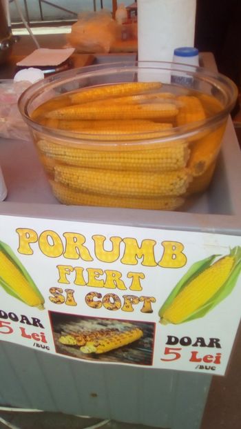 IMG-20180929-WA0053 - Targul de toamna