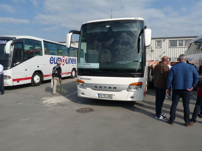 P1060667 - Eurolines Poze Romania