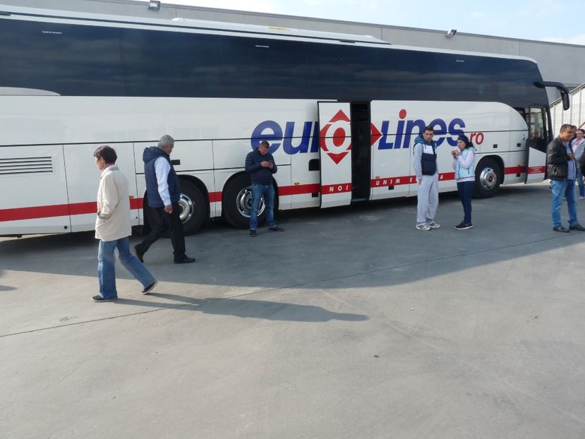 P1060675 - Eurolines Poze Romania