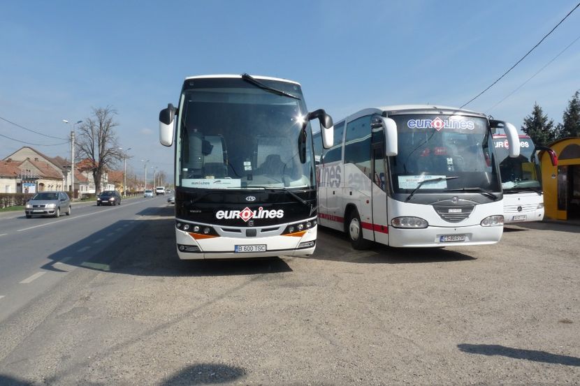 P1060729 - Eurolines Poze Romania