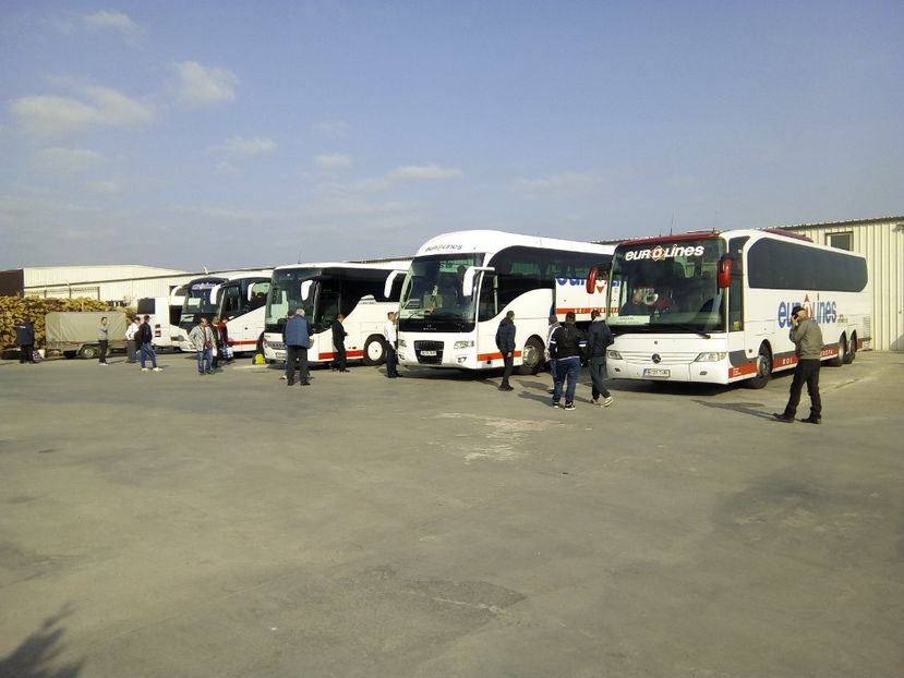 - Poze Flixbus By Eurolines Romania