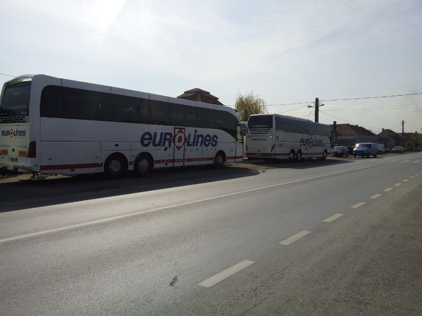  - Poze Flixbus By Eurolines Romania