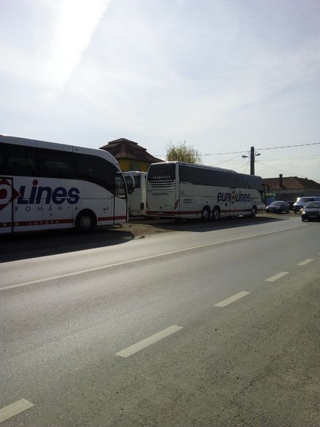  - Poze Flixbus By Eurolines Romania