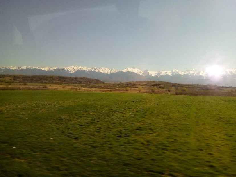  - Poze Flixbus By Eurolines Romania